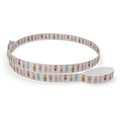 Watercolor Pointe Shoe Dog Leash